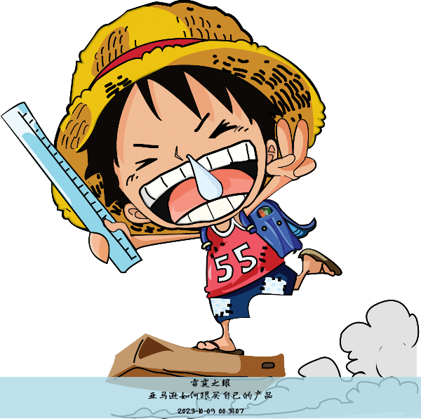 亚马逊如何跟买自己的产品