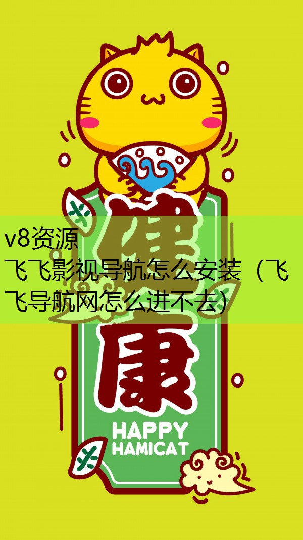 飞飞影视导航怎么安装（飞飞导航网怎么进不去）