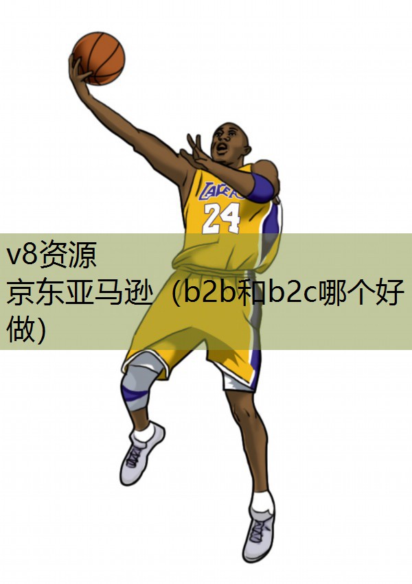 京东亚马逊（b2b和b2c哪个好做）