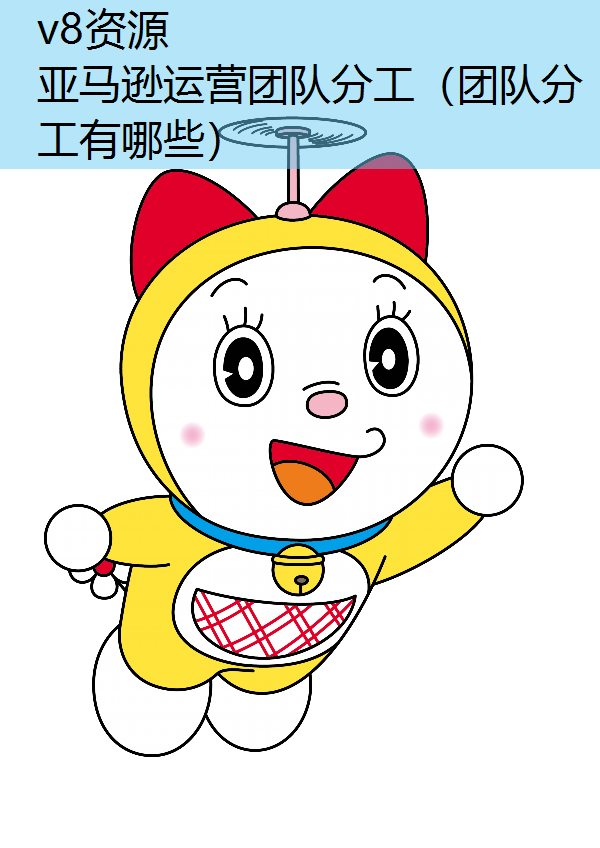 亚马逊运营团队分工（团队分工有哪些）