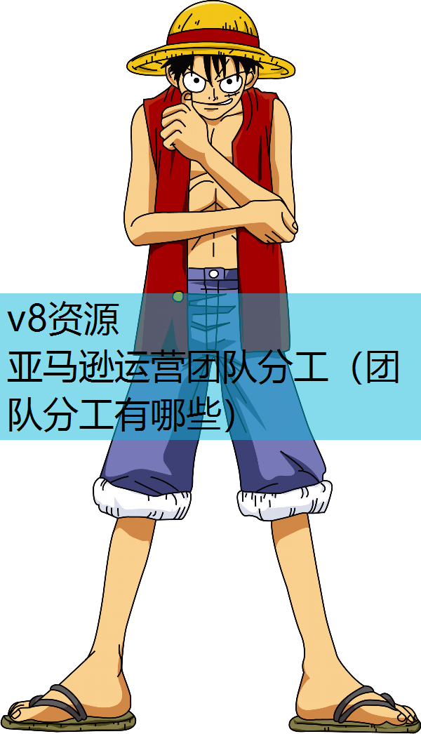 亚马逊运营团队分工（团队分工有哪些）