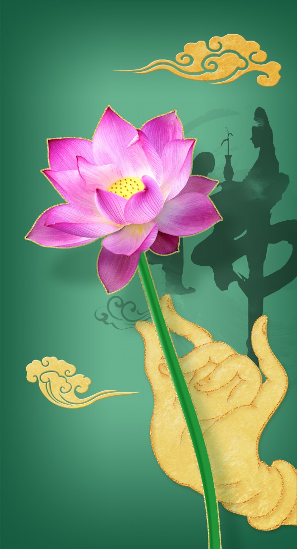 宁波亚马逊运营（宁波跨境电商）
