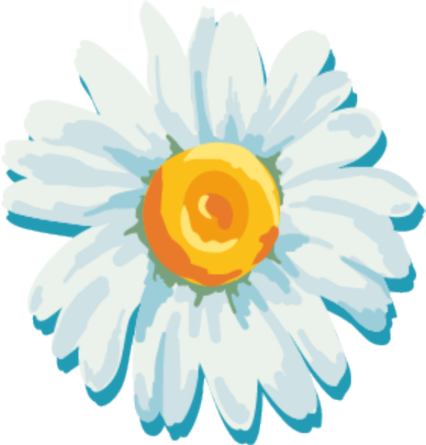 跨境电商销售什么好(跨境电商的主要平台) 跨境电商销售什么好(跨境电商的主要平台)