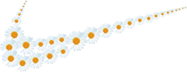 杭州 亚马逊运营工资(亚马逊运营) 杭州 亚马逊运营工资(亚马逊运营)