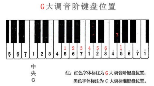 亚马逊钢琴书（钢琴指法书）