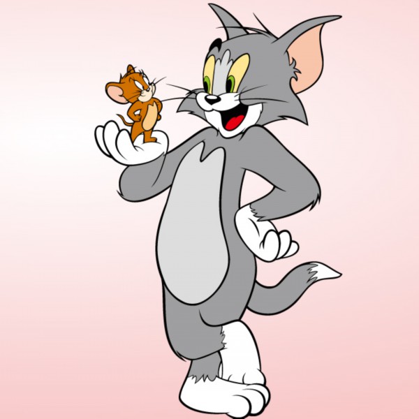 新手如何运营亚马逊（新手做亚马逊需要了解的几点）