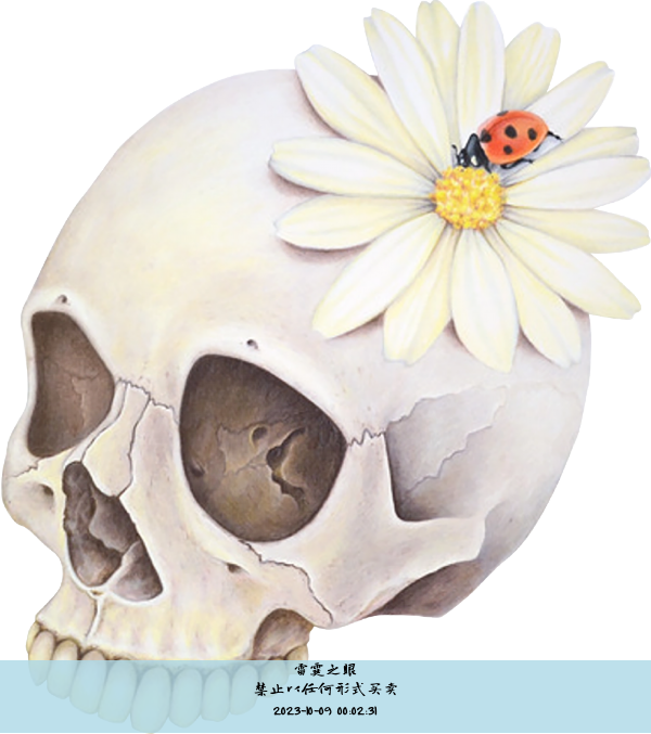 禁止以任何形式买卖