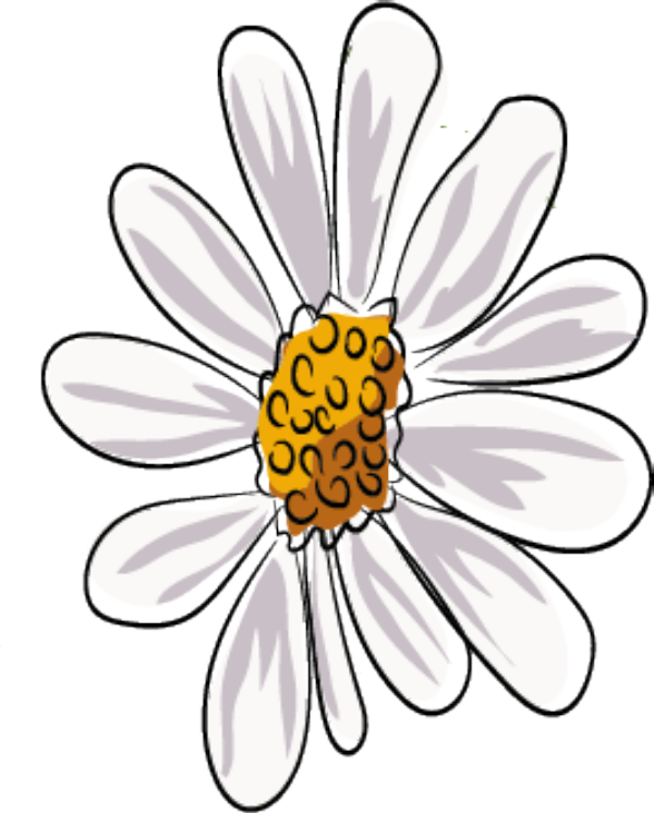 亚马逊运营模式（亚马逊广告打法）