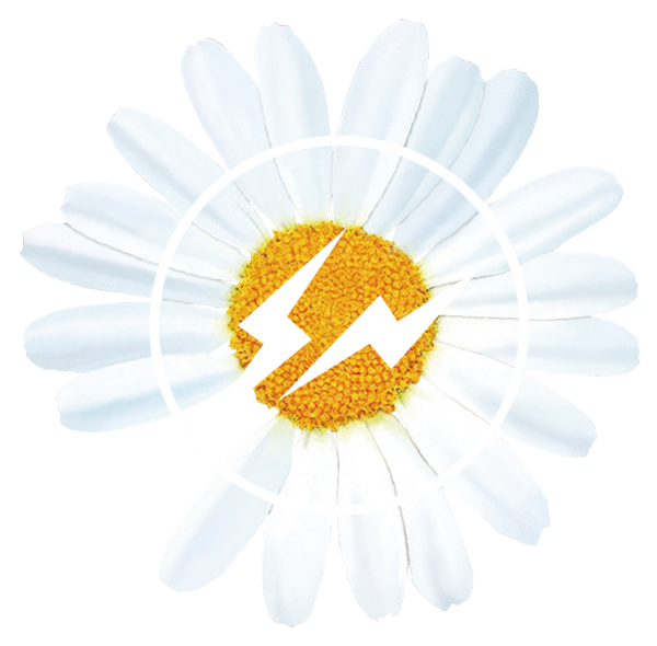 东南亚跨境电商怎么开店铺（虾皮跨境电商入驻）