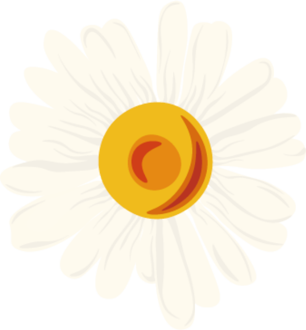 高邮跨境电商（江苏跨境电子商务服务有限公司）