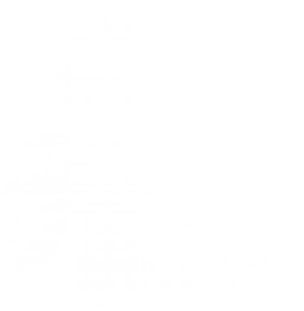 跨境电商开店铺申请流程（电商如何开店）