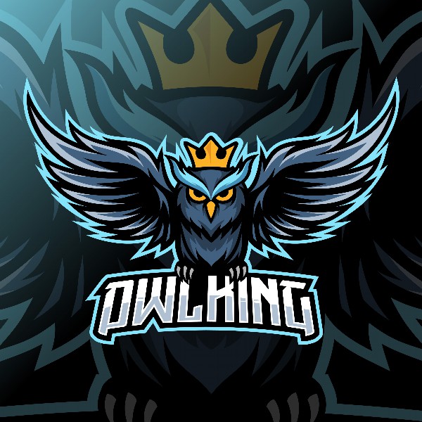 跨境电商创业可行吗知乎（跨境电商怎么注册）