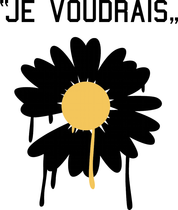 跨境电商美国开店方式选择（国外亚马逊开店流程）