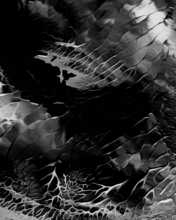 河北跨境电商无货源（个人如何做跨境电商）