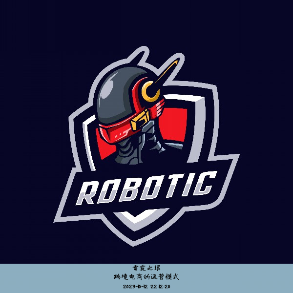 跨境电商的运营模式