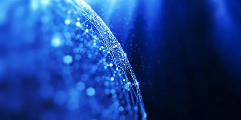 野林猫跨境电商平台（跨境电商除了亚马逊还有什么平台）