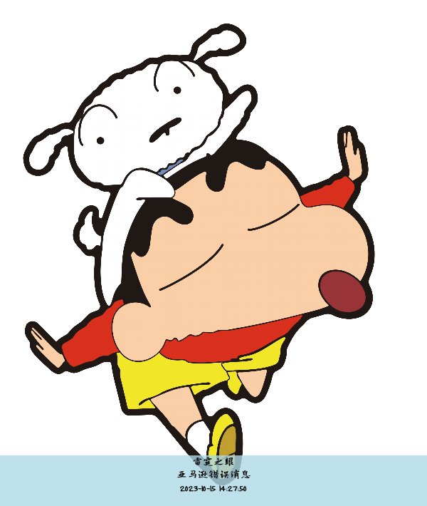 亚马逊错误消息