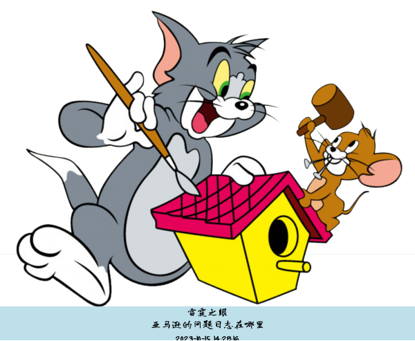 亚马逊的问题日志在哪里