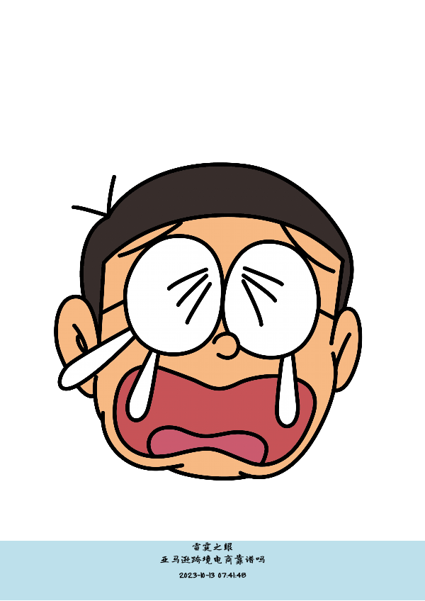 亚马逊跨境电商靠谱吗