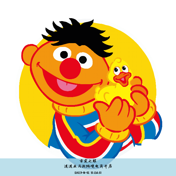 连连亚马逊跨境电商开店