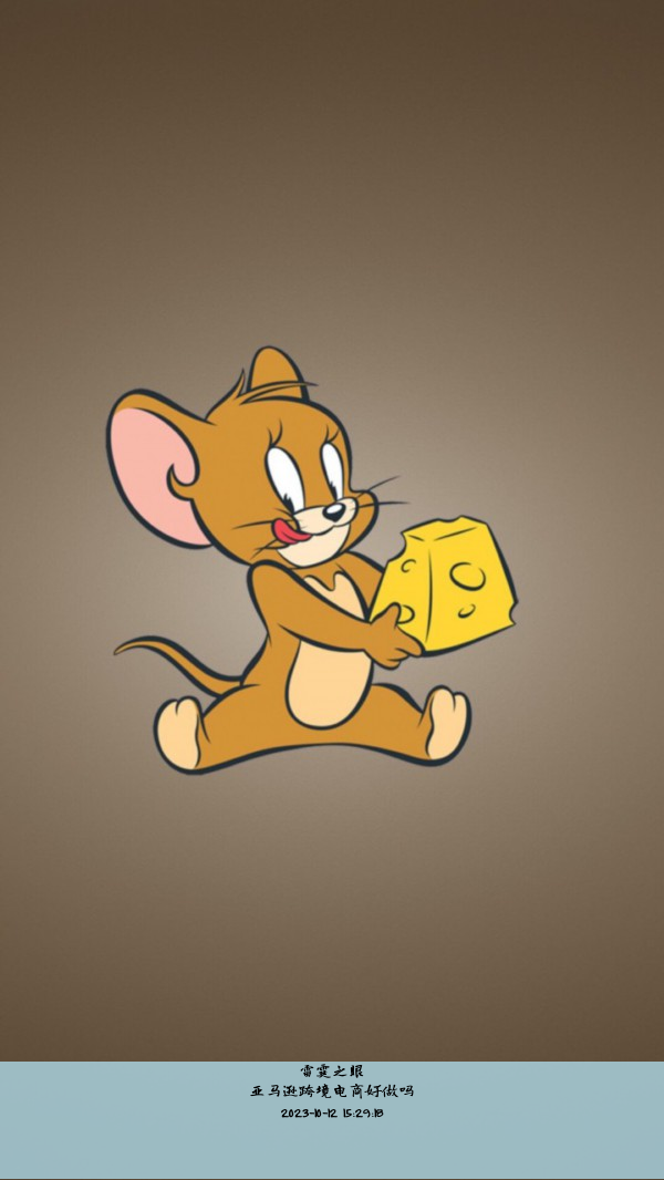 亚马逊跨境电商好做吗