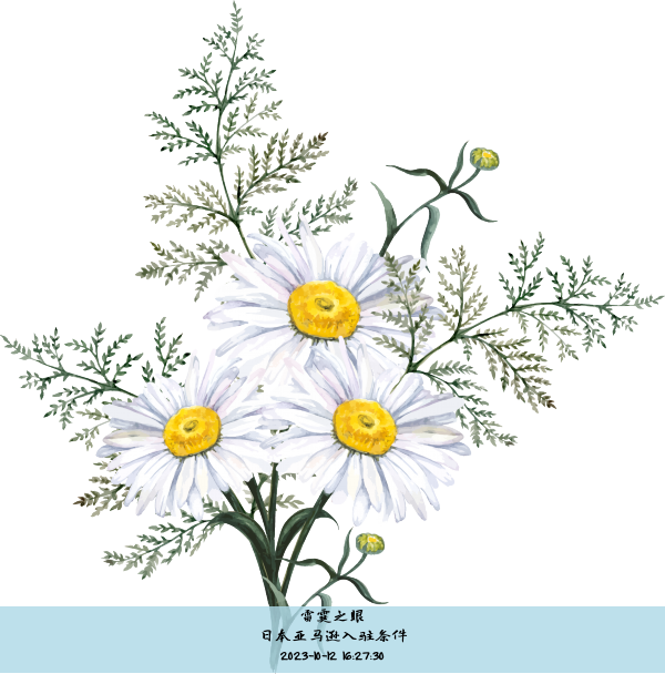 日本亚马逊入驻条件