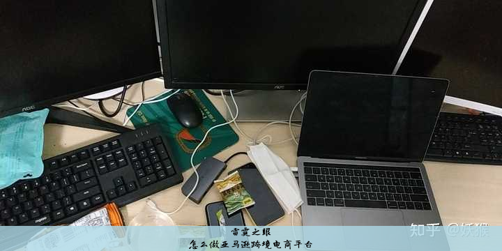 怎么做亚马逊跨境电商平台
