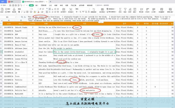 怎么做亚马逊跨境电商平台