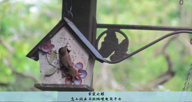 怎么做亚马逊跨境电商平台