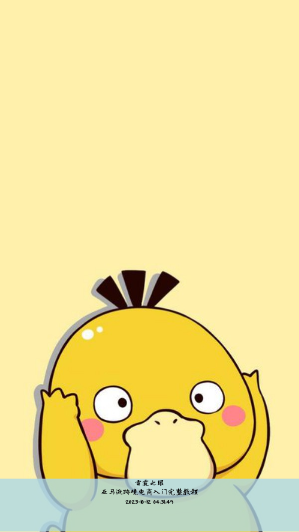 亚马逊跨境电商入门完整教程