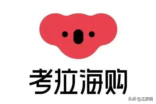 网易考拉跨境电商案例（小红书是跨境电商平台吗）