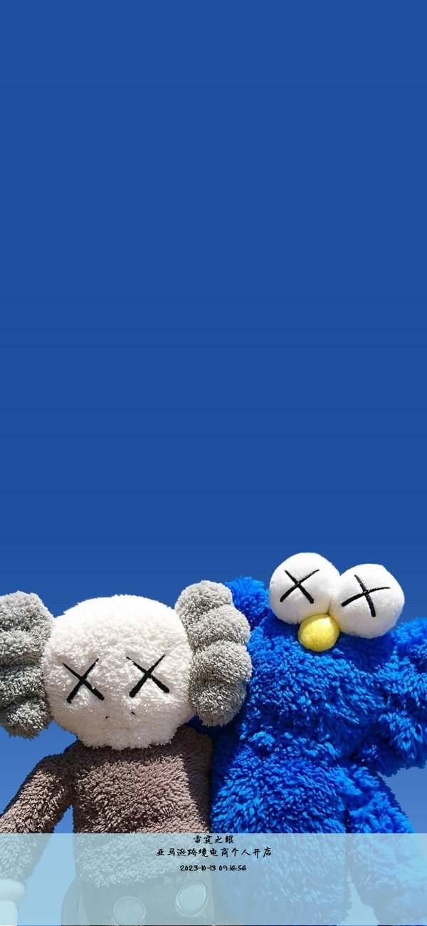 亚马逊跨境电商个人开店