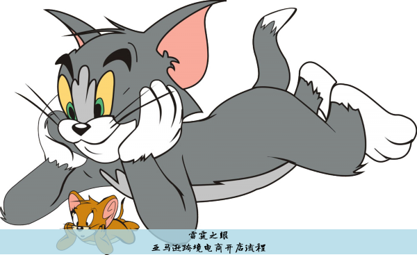 亚马逊跨境电商开店流程