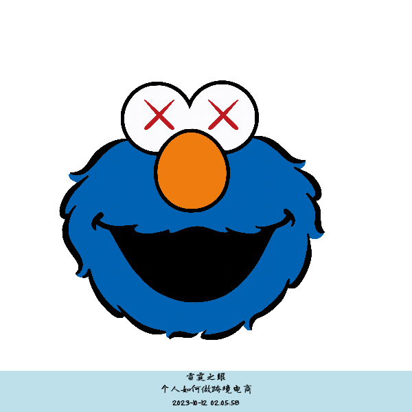 个人如何做跨境电商