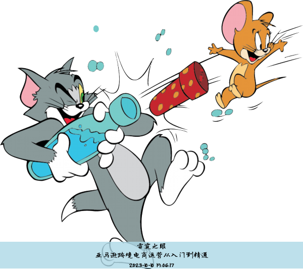 亚马逊跨境电商运营从入门到精通