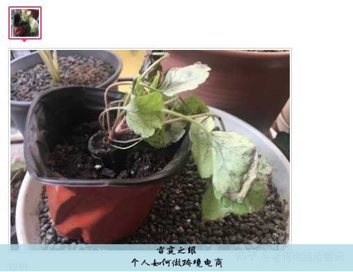 个人如何做跨境电商