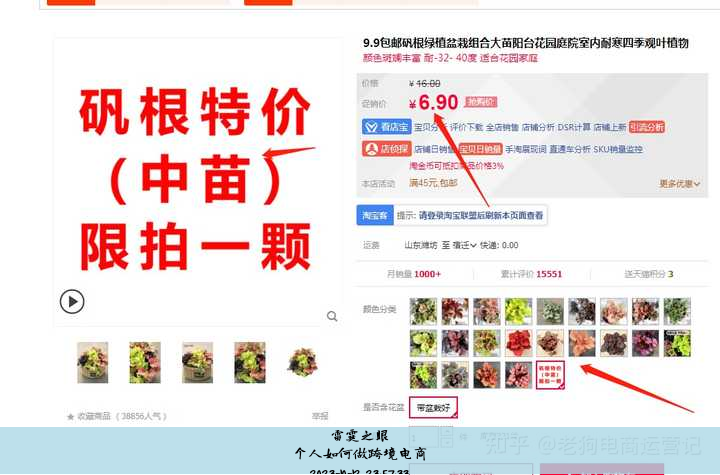 个人如何做跨境电商