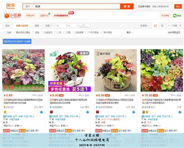 个人如何做跨境电商