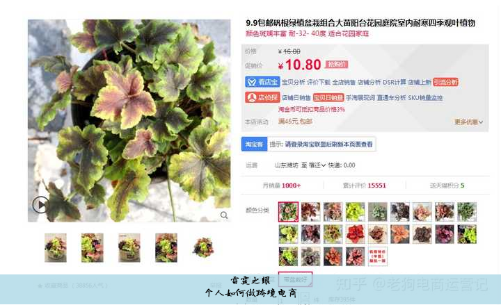个人如何做跨境电商