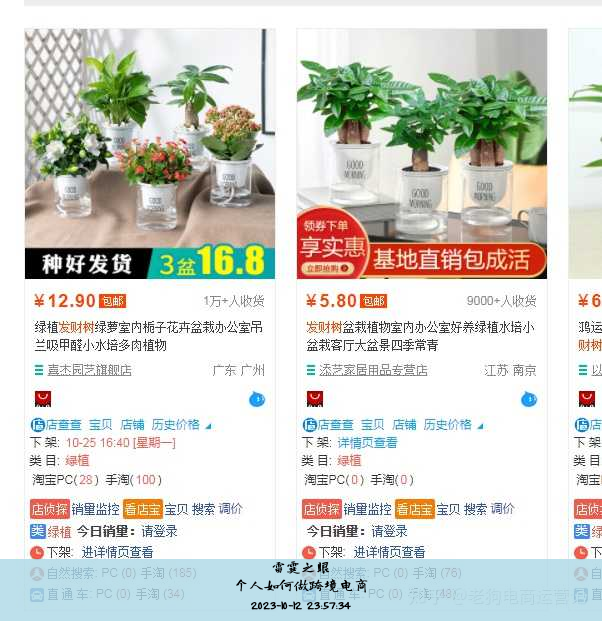 个人如何做跨境电商