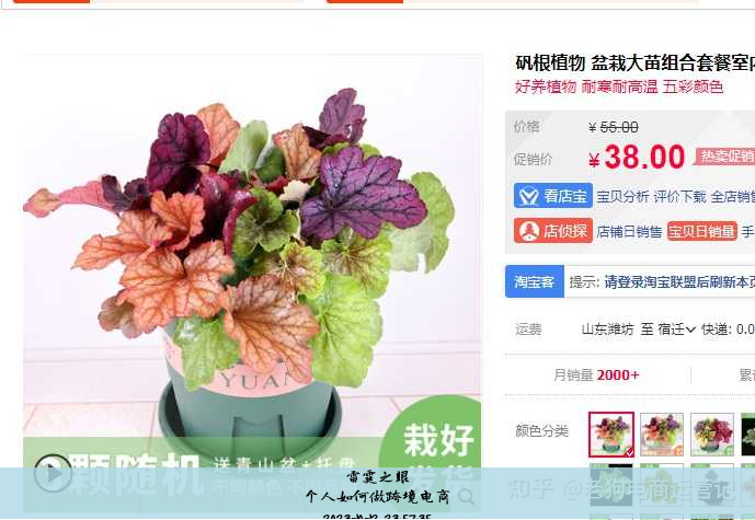 个人如何做跨境电商