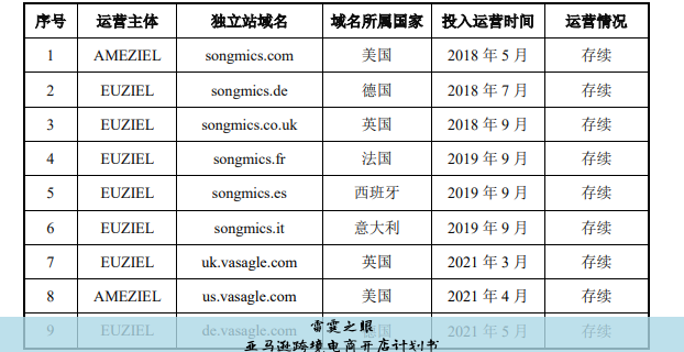 亚马逊跨境电商开店计划书