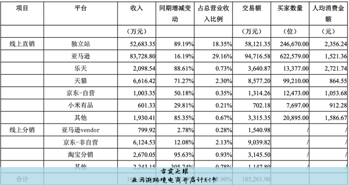 亚马逊跨境电商开店计划书