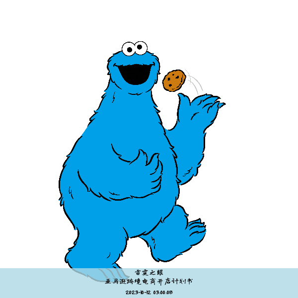 亚马逊跨境电商开店计划书