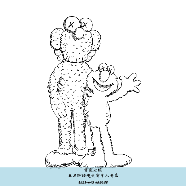 亚马逊跨境电商个人开店