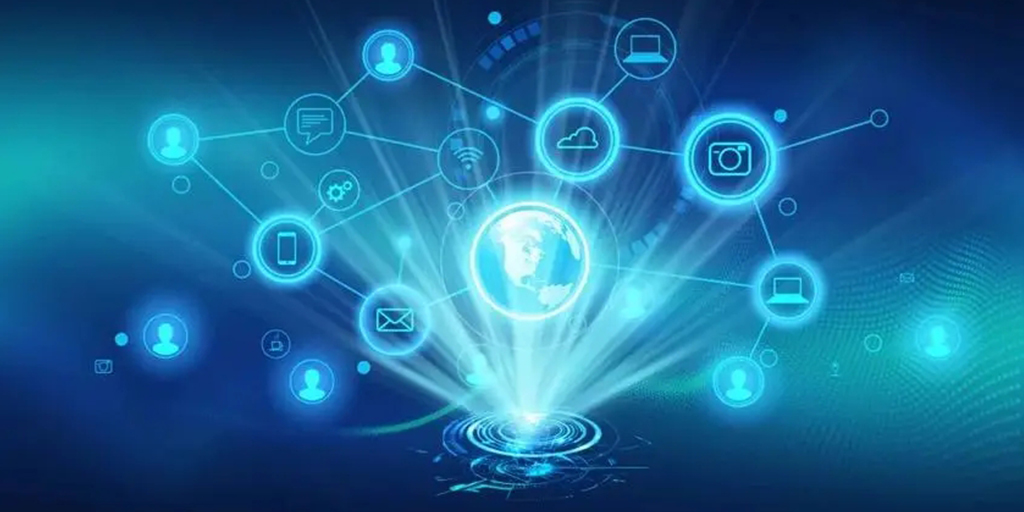 亚马逊的树（亚马逊森林的资料）