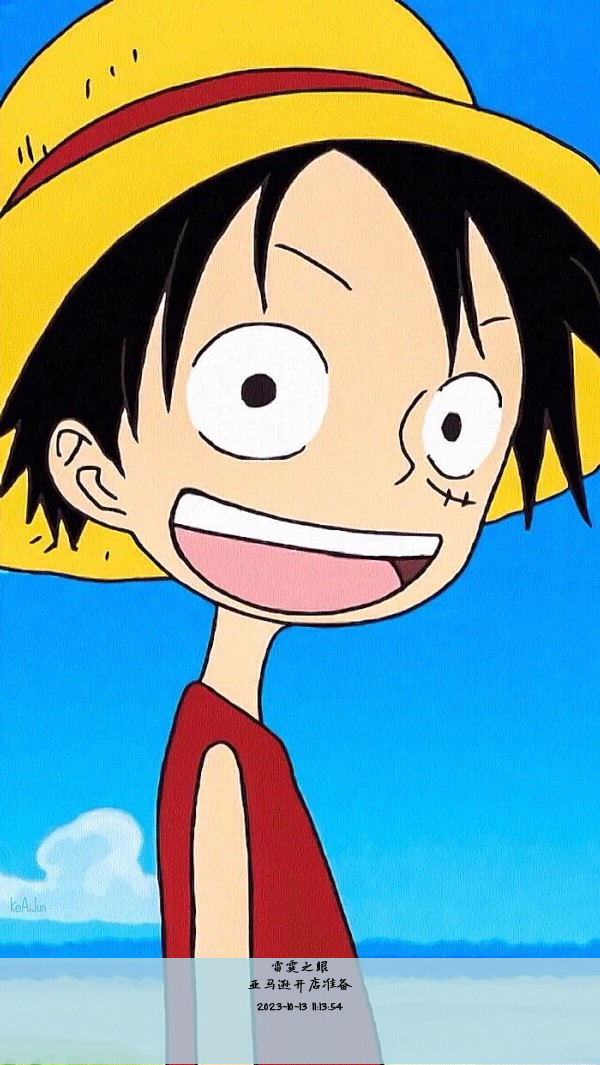 亚马逊开店准备