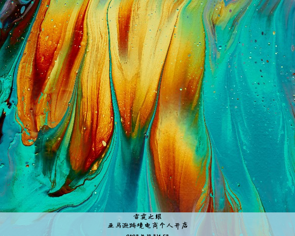 亚马逊跨境电商个人开店