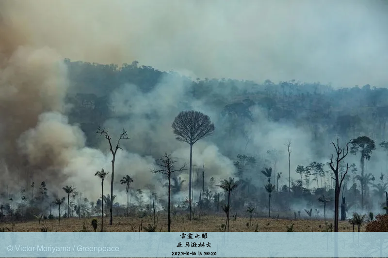 亚马逊林火