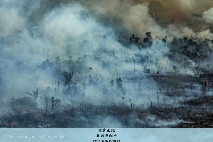 亚马逊林火